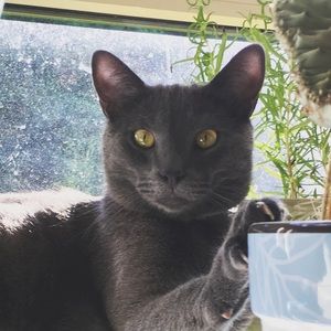 Meet your Posher, Sophie